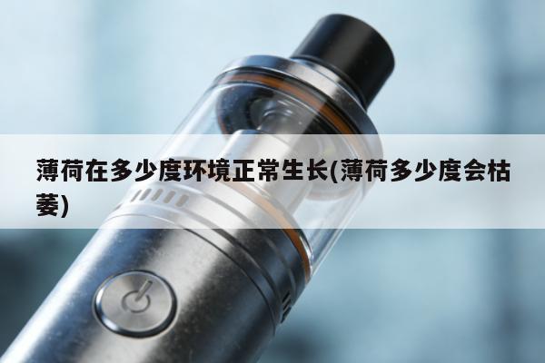 薄荷在多少度環境正常生長(薄荷多少度會枯萎)