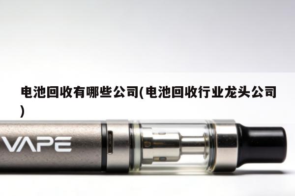 電池回收有哪些公司(電池回收行業龍頭公司)