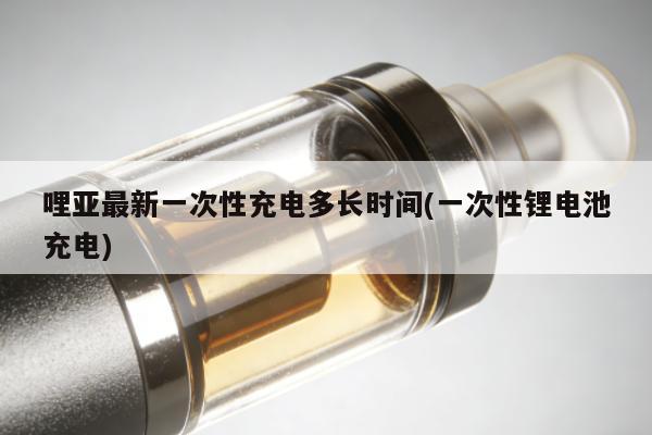 哩亞最新一次性充電多長時間(一次性鋰電池充電)