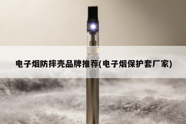 電子煙防摔殼品牌推薦(電子煙保護套廠家)