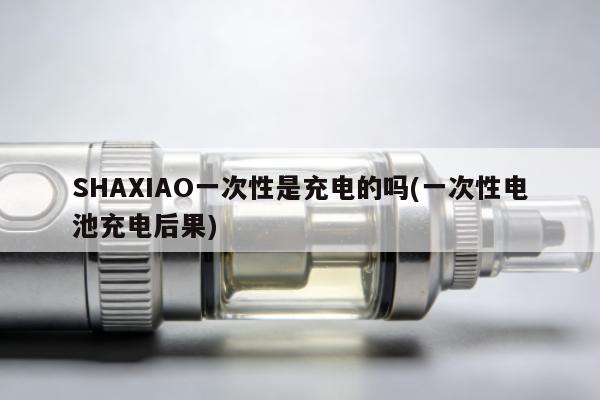 SHAXIAO一次性是充電的嗎(一次性電池充電後果)